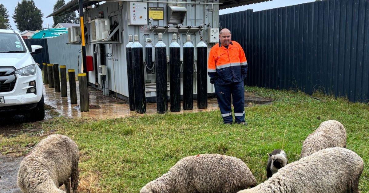 Man standing outside an oxygen unit with sheep grazing